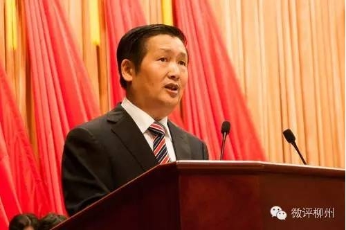 2015年1月20日召开的广西柳州市第十三届人民代表大会第七次会议上，柳州市市长肖文荪作《柳州市人民政府工作报告》。黄威铭 摄