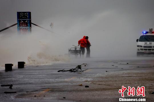 5日，東營市黃河入?？?，大風降溫天氣致使海浪撞擊海堤濺起近十米的水花。　梁犇　攝