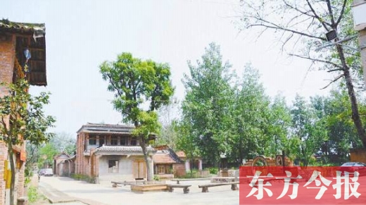 信阳明港新集村:人居环境、产业、教育新风貌