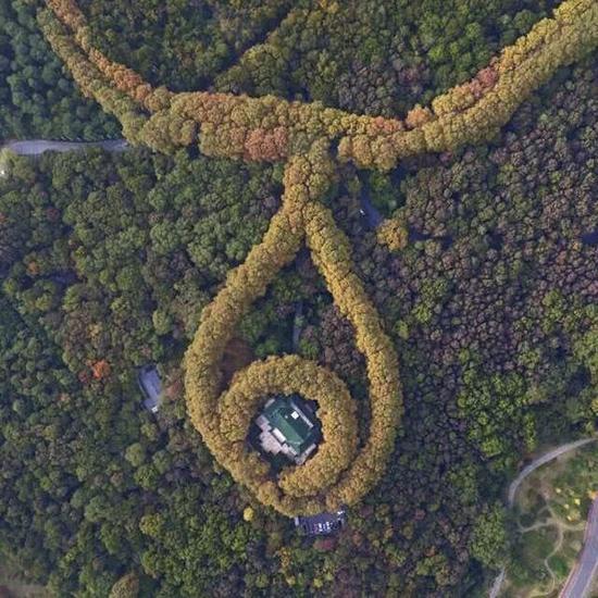 昨天不少市民的手机里都被一幅颇为梦幻的航拍照片刷屏了，夕阳下的南京东郊风景区，金黄色的梧桐树串成一条金色的“项链”，而不少熟悉地貌的人都认出这“项链”下坠着的“宝石”正是美龄宫。
