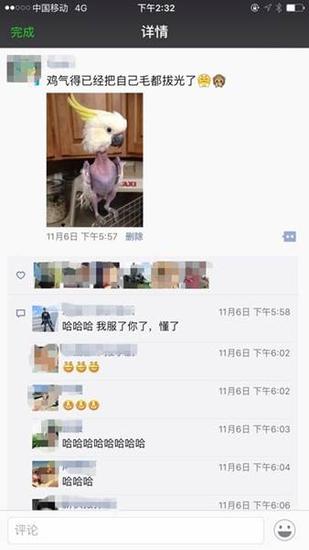 三只松鼠京东复活背后 谁在真正“二选一”? 三只松鼠京东复活背后 谁在真正“二选一”?