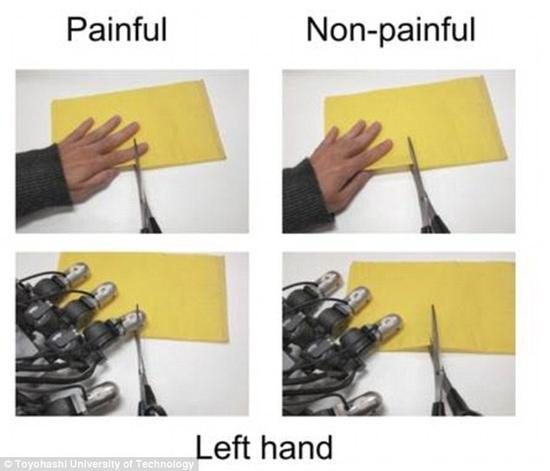 研究人员让人们观看人类和类人型机器人遭受疼痛的照片，如被刀子切割等。在研究了受试者的脑电信号之后，研究人员发现，他们对人类和机器人会产生程度相似的情感共鸣反应。