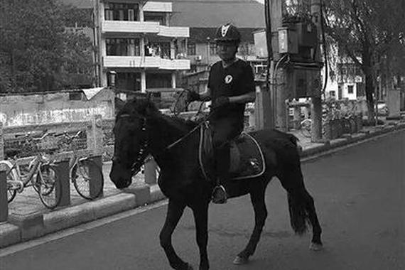 男子酒后骑黑马逆行 连人带马被宝马撞飞