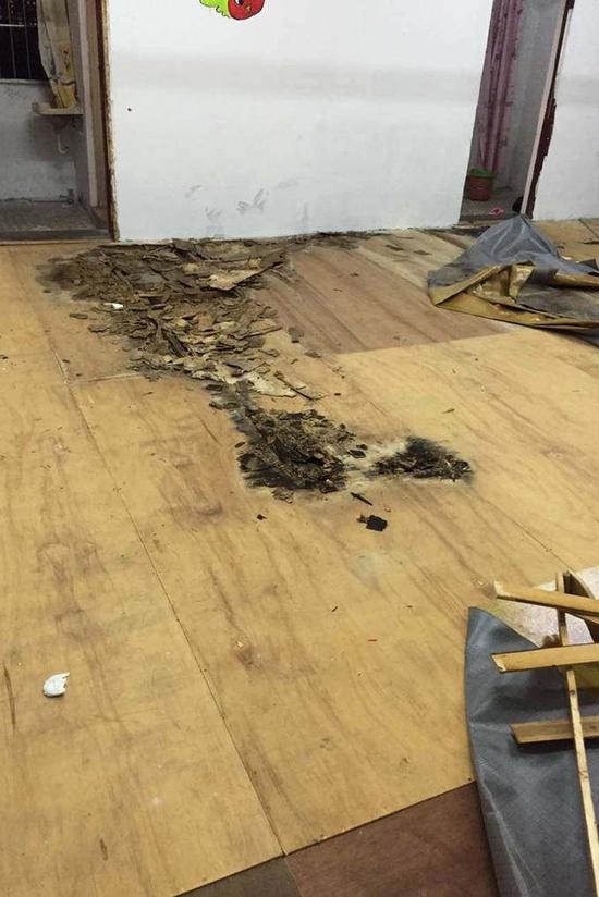 幼儿园孩子睡发霉地板蟑螂遍地