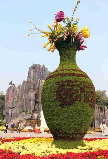 冬寒難敵秋菊綻 古城賞菊入翰園