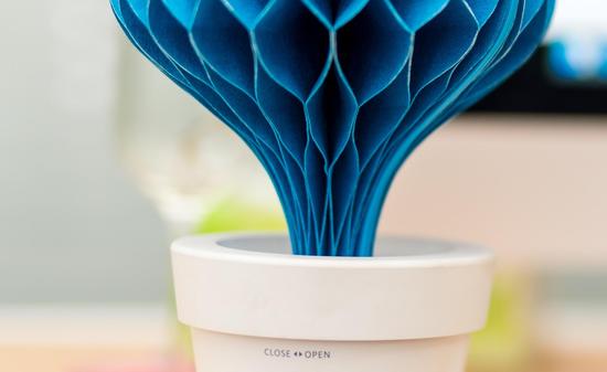 韩国Nanum爱心盆栽加湿器开箱