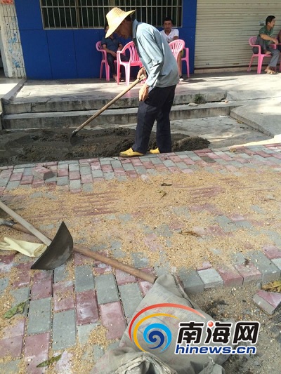 海甸二西路市场工程维修使用的大宝水泥疑似冒牌货。南海网记者姜飞摄