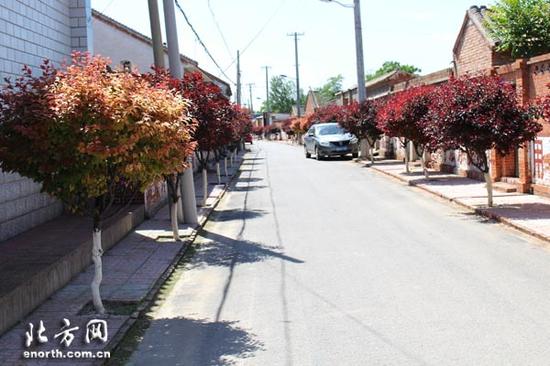 天津清洁村庄建设接近尾声 农村面貌得到改善