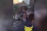 暖心！美洲豹和小女孩隔着玻璃玩“拍手”