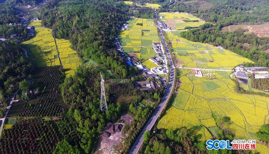 《周恩来回延安》曝首款预告 戏骨连抛催泪弹