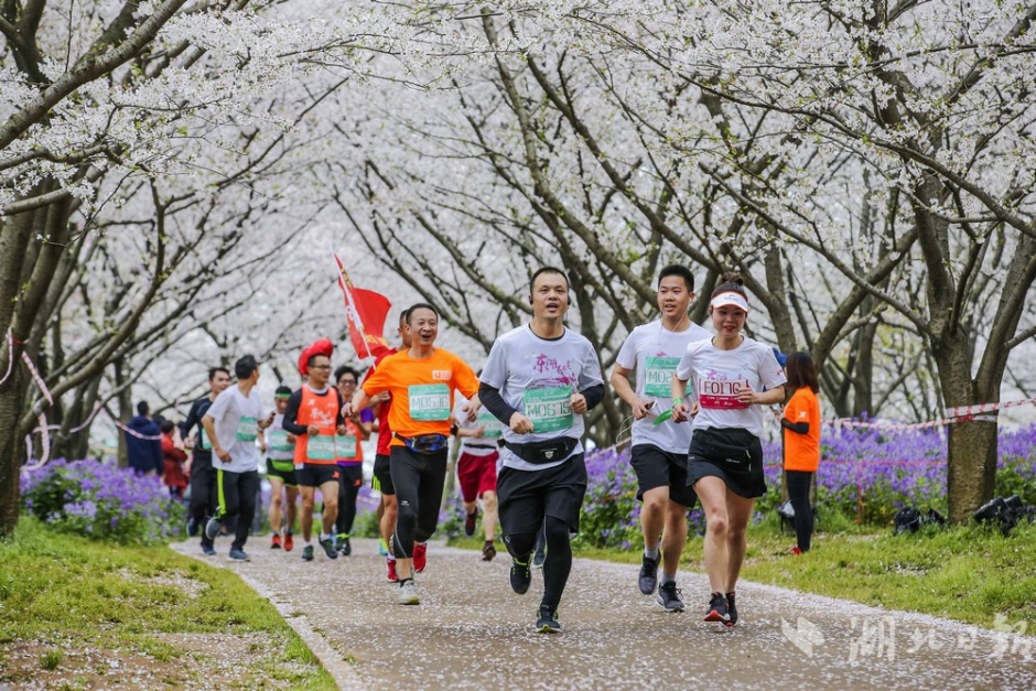 山东水利职业学院学子在第九届全省学生“学宪法·讲宪法”活动省级比赛中获佳绩