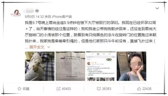 《好运家》收视夺冠 带来充满烟火气的治愈体验