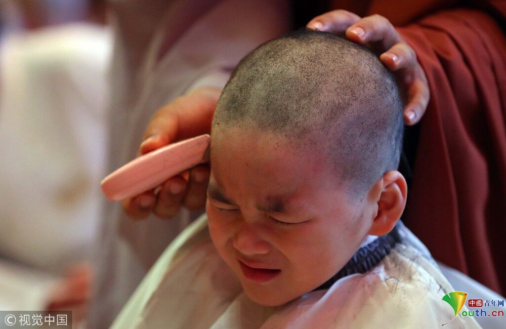 松茸是野生的还是人工种的