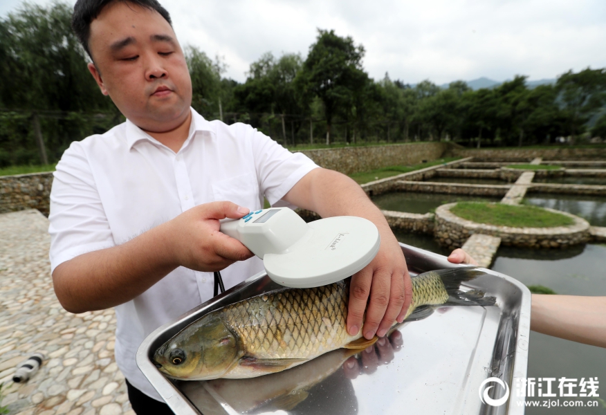 汽车的后视镜应该如何调整，减少视线盲区？