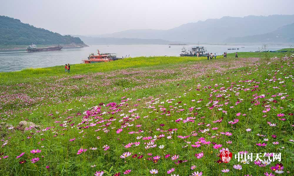 岳西送戏进村惠民又暖心