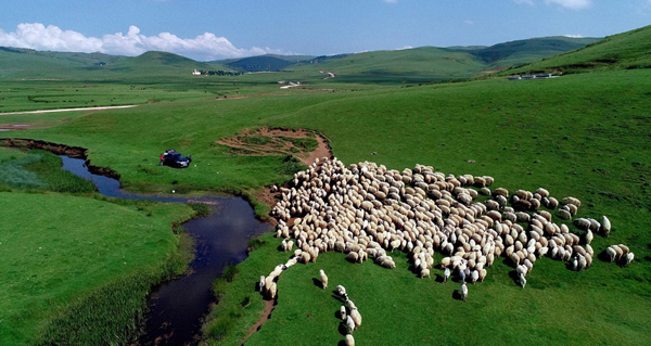  Análise de dados: Como entender a chave para a vitória em None?