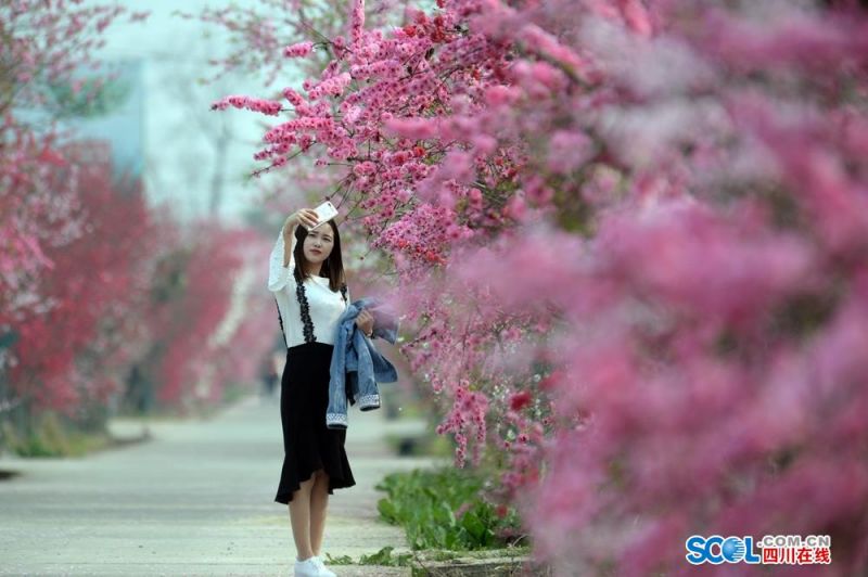 习近平总书记在深度贫困地区脱贫攻坚座谈会上的重要讲话引起强烈反响