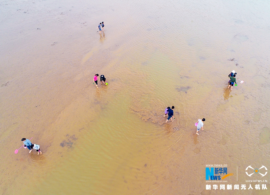 高僧圆瑛法师罕见旧照