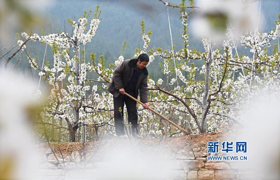 何炅与汪涵一同庆祝生日 杨乐乐：彼此要珍惜啊