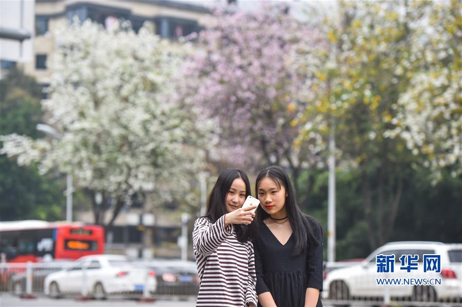 打造宜居环境 建设美丽乡村