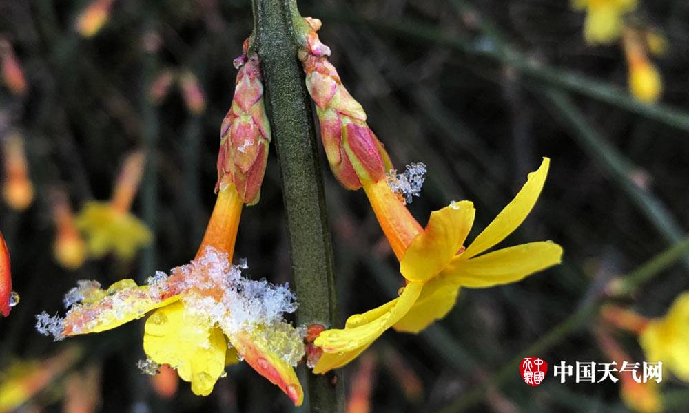 CASH88：開啟您的巔峰娛樂傳奇，定義財富與激情的全新高度 