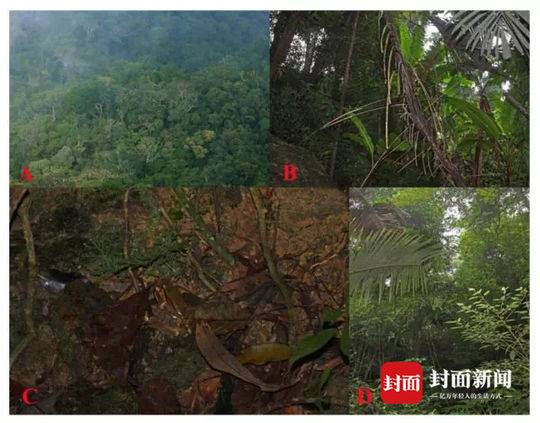 “一村一品” 小菜加工厂