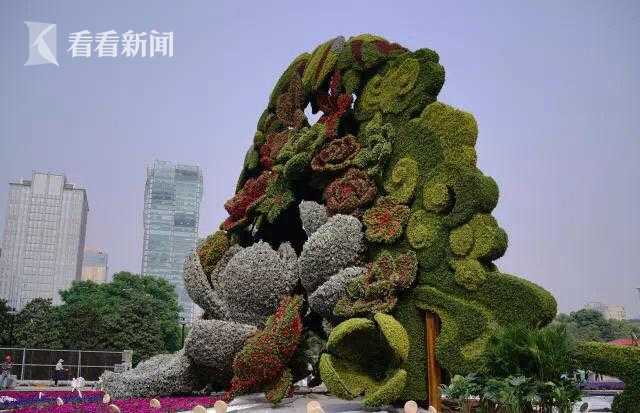 孕妇快生的前几天明显征兆?