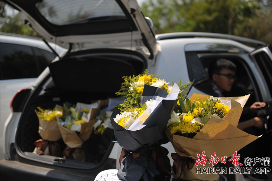 谁将登顶亚洲足球之巅？国足能否创造奇迹？