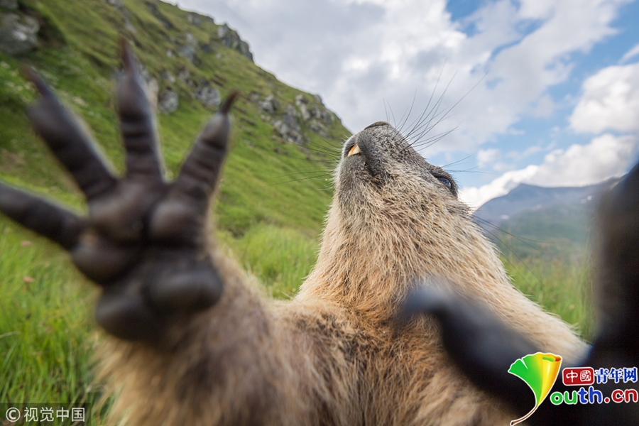 俞敏洪：不是最佳示范，但从未有失体面
