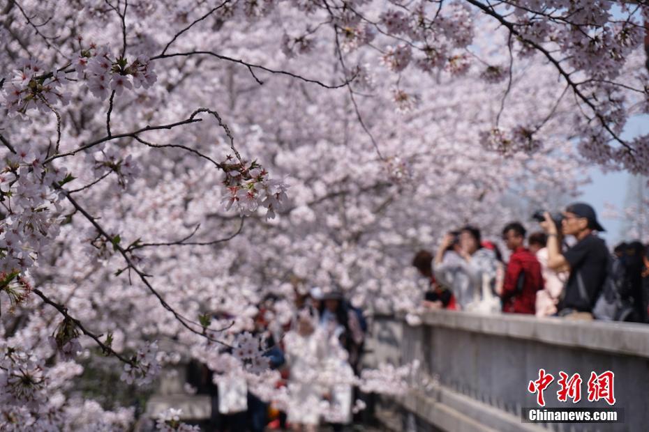 世界海拔最高铁路首支“女子探伤班”在西藏拉萨亮相