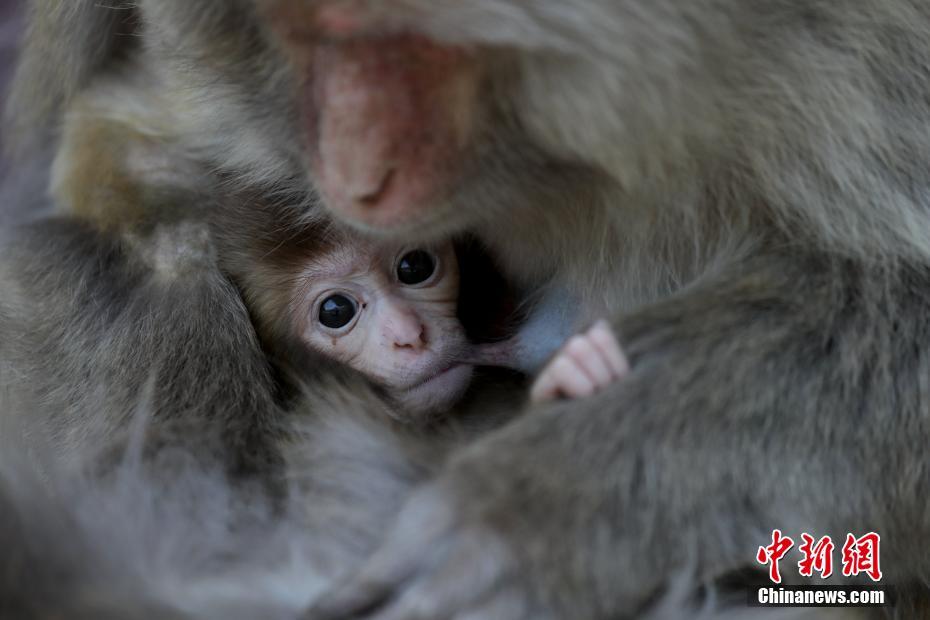 男逝世豪情经历的范文感情案牍短句下情商烦闷案牍少篇备记录