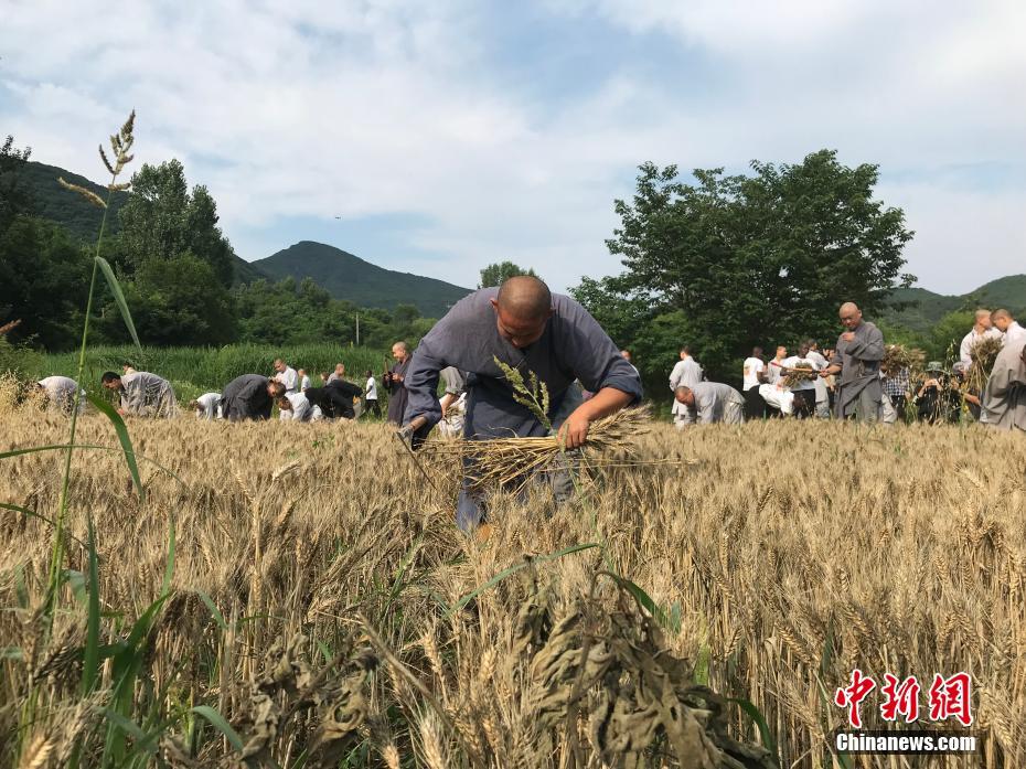 铜陵义安区戏曲进景区活动在永泉小镇举办