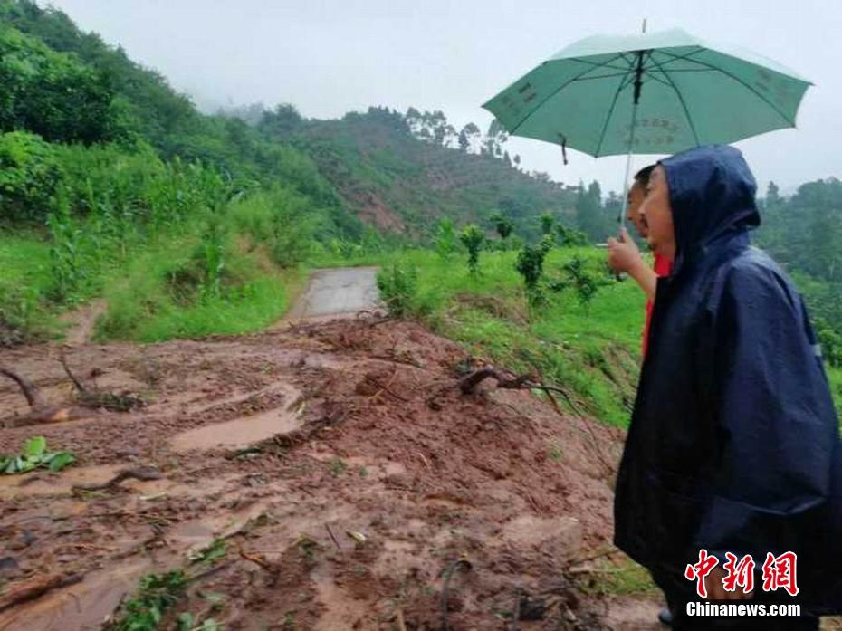 绿色理念践于行，美好家园同守护