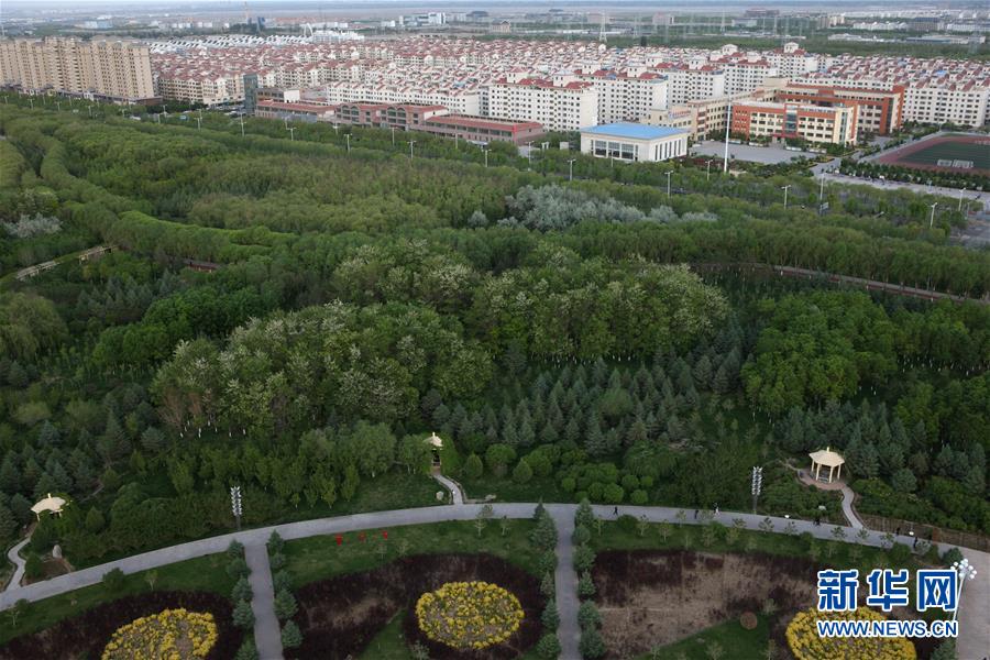疱疹病毒1型lgg阳性是什么，怀孕了孩子能要吗