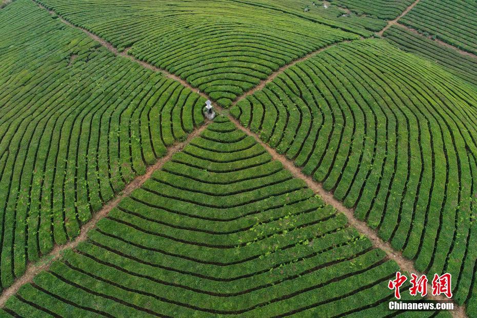 哈登赛后谈论判罚：我只是想得到一个公平的机会