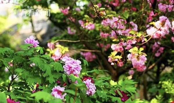 2024香港現金網最強攻略：揭秘「送分」背後的致富邏輯，讓你零成本體驗翻倍快感！ 