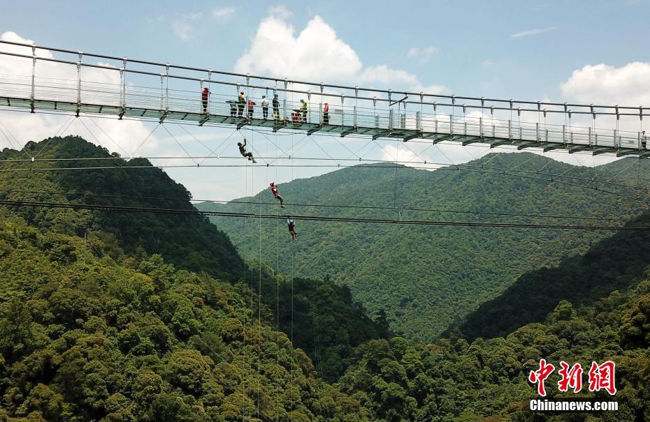 众信旅游净利润暴跌九成 服务质量和股价令人心焦