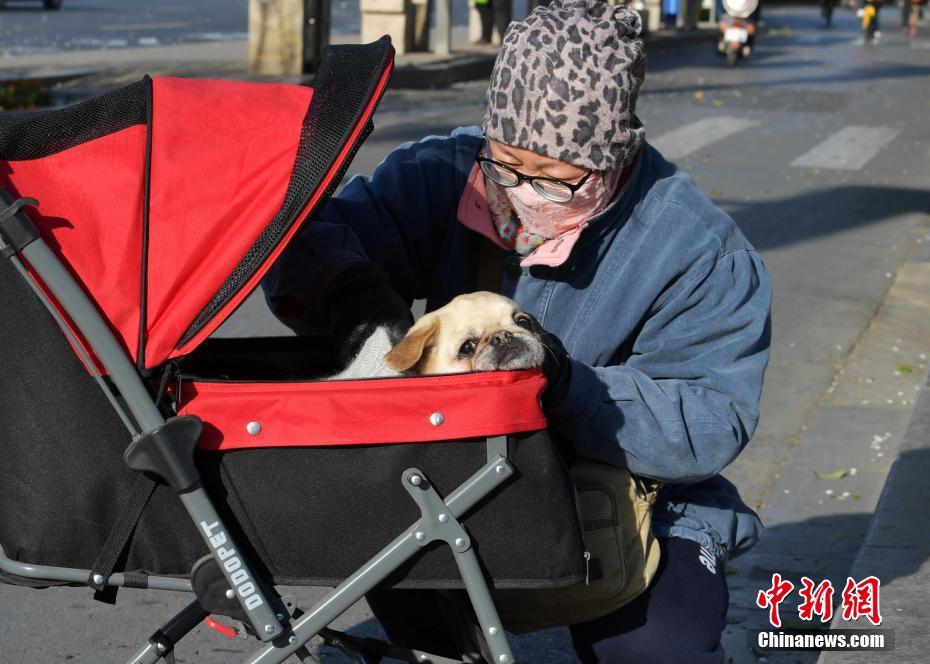 從綠茵場到螢幕前：揭秘足球直播賽事背後的熱血、技術與全球共鳴 