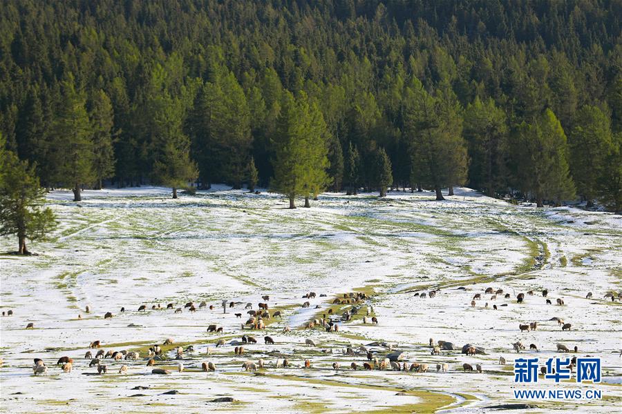 帶上望遠鏡，去這些地方“偷窺”鳥兒談戀愛