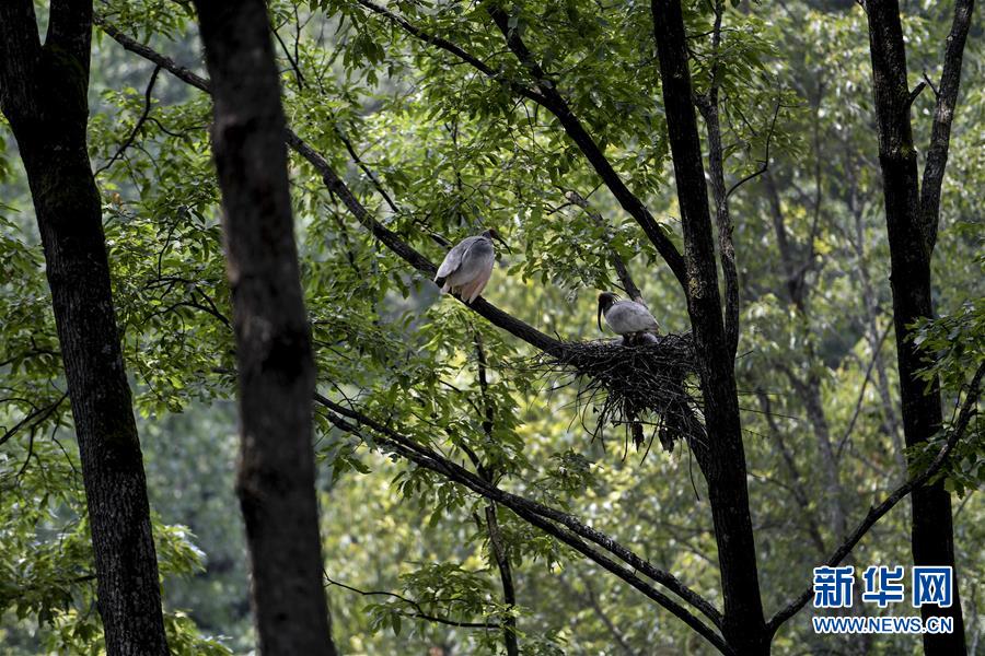 第15届BAZAAR Jewelry极品珠宝夜宴暨初级珠宝年度设念大年夜赏