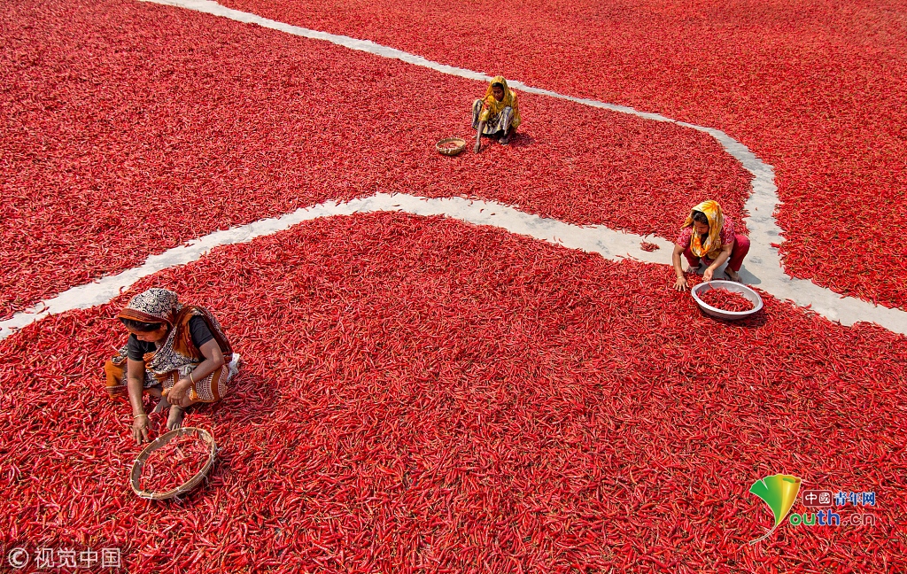 Cash88 login 攻略：開啟您的財富之門，體驗巔峰娛樂的最佳選擇 