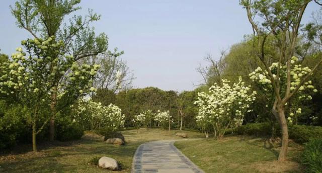  Đánh giá lịch sử: Những khoảnh khắc kinh điển chúng ta đã xem None cùng nhau