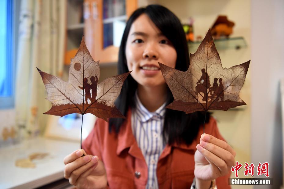 管家婆一肖一码全面释义、解释与落实