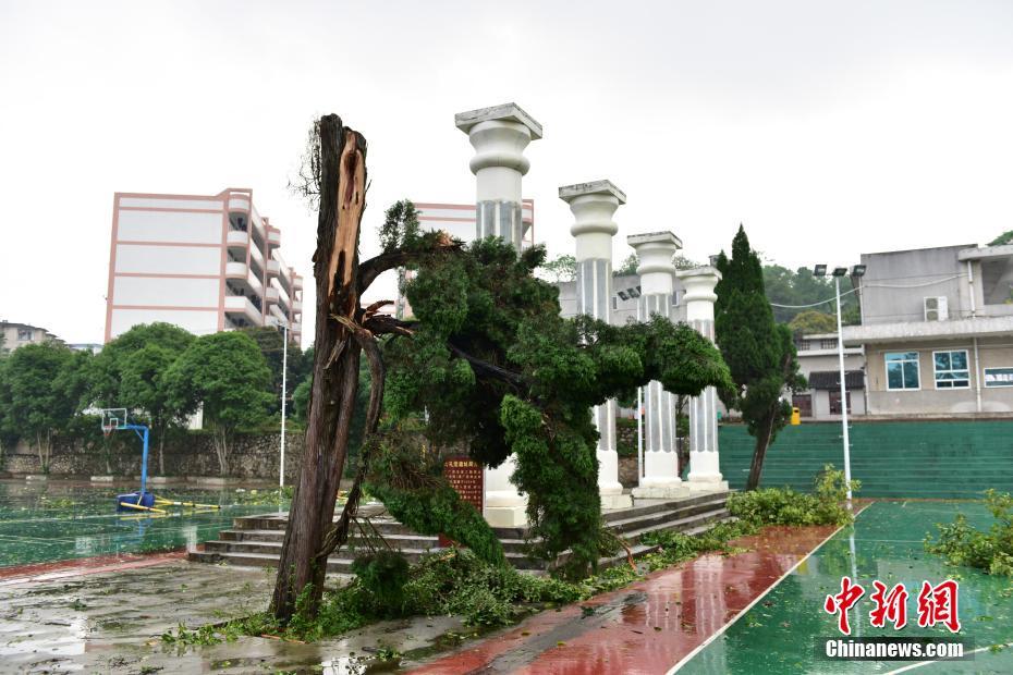 澳门澳门澳门精准大全下载