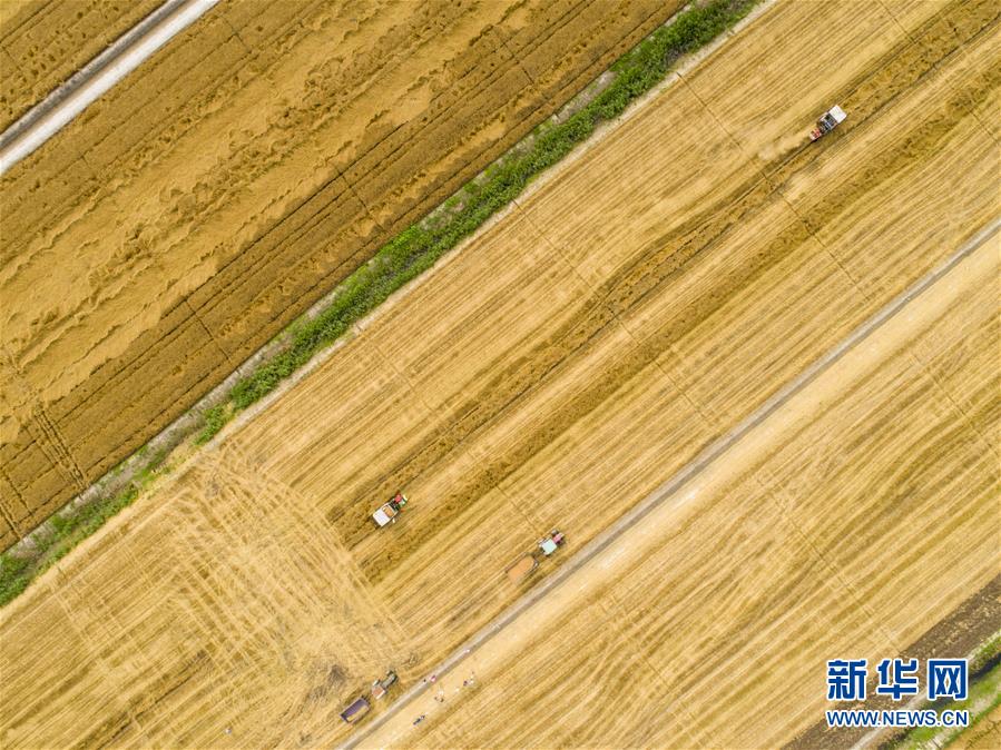 首批！18个“人工智能+高等教育”应用场景典型案例入选