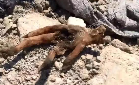 賽馬場上的身份圖騰：從黃色到黑色的尊寵演變，揭秘馬會優越卡顏色的進階密碼 