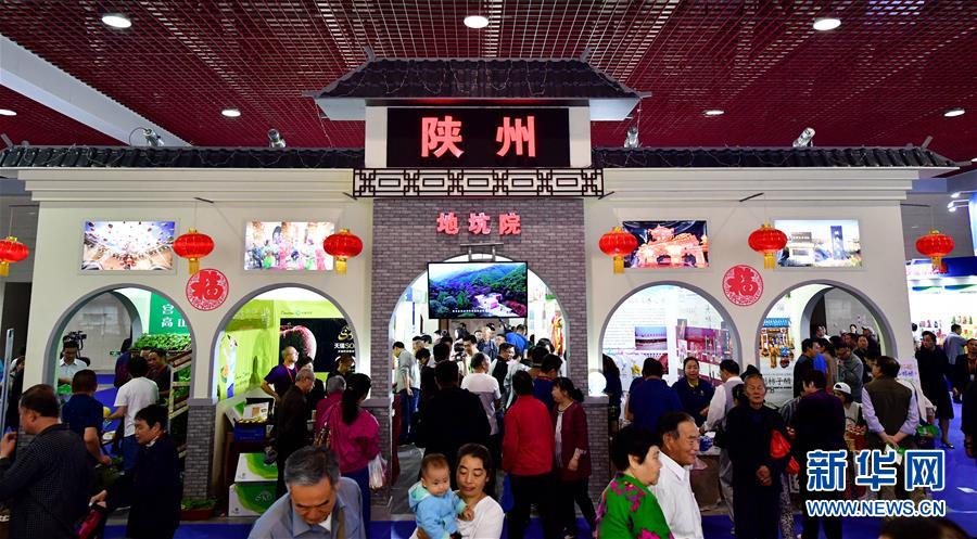在线视频探索，剧情、评论与演员信息的精彩世界