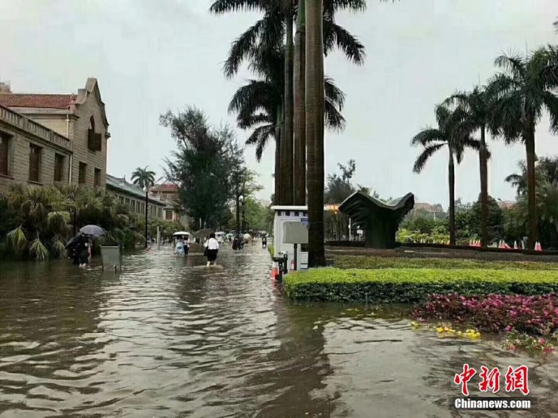 习近平同巴西联邦共和国总统举行会谈 两国元首一致同意推动中巴全面战略伙伴关系取得新的更大发展