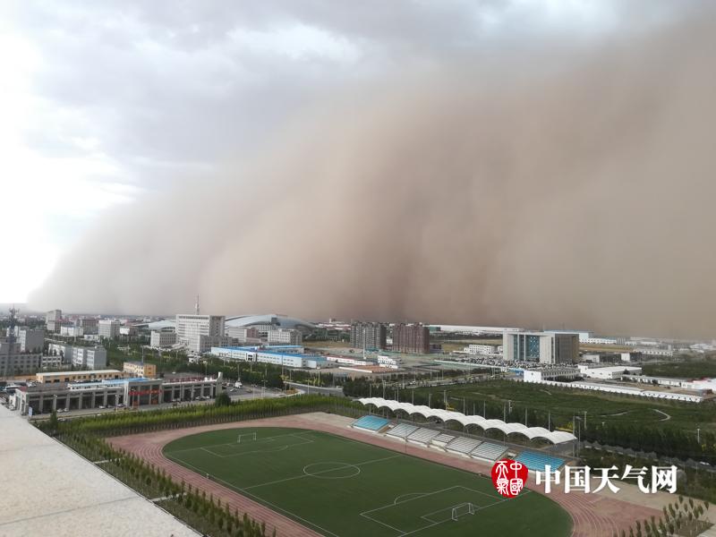 商务旅行社中戴绿帽子的女老板，深度解析与视频资源