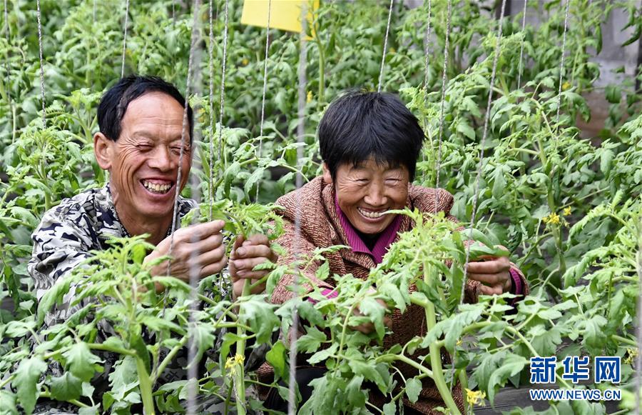 黟县碧山:一个贩卖青春和文艺的乌托邦